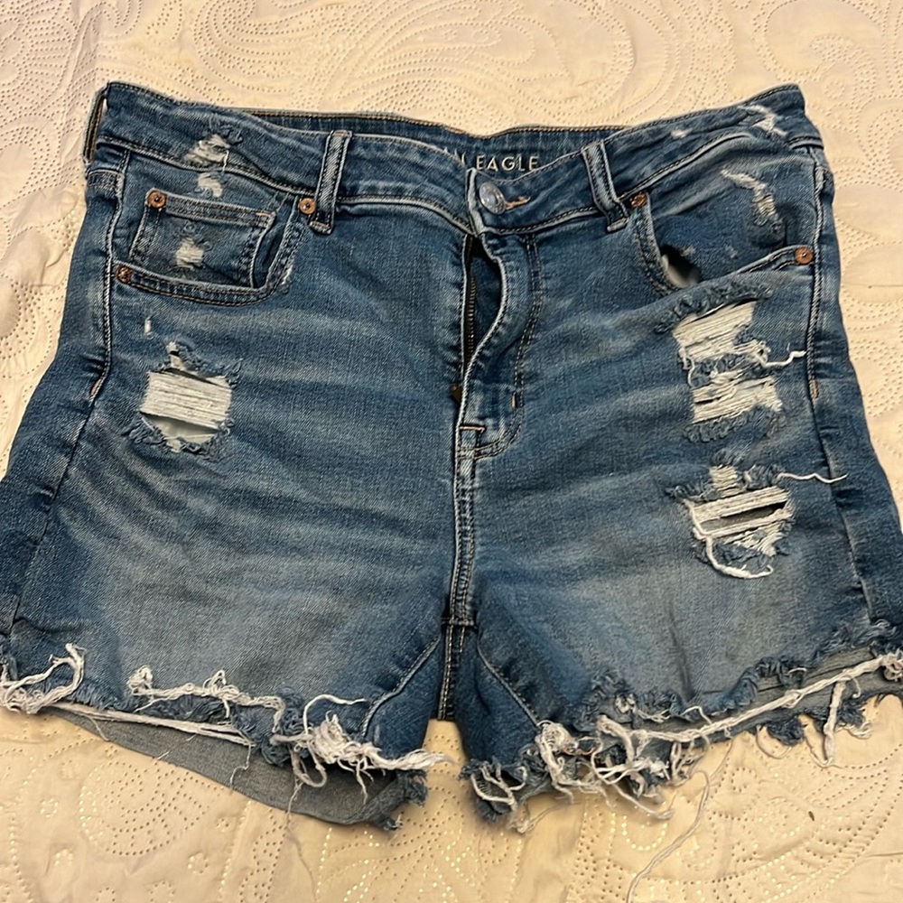 American Eagle Super Stretch Distressed Shorts